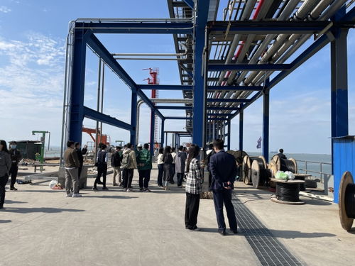 逾百家機構調(diào)研連云港產(chǎn)業(yè)園