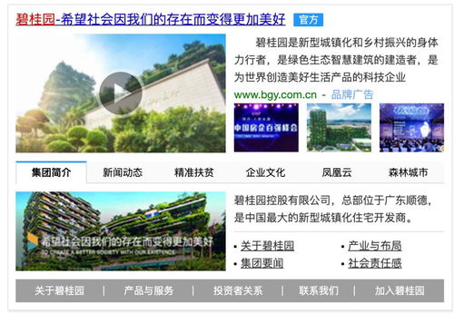 多家房企進入黑名單 還有哪些房企能讓老百姓安心買房