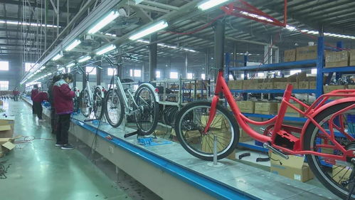 活力新衢州 美麗大花園 衢州 加大產(chǎn)品創(chuàng)新力度 不斷開拓國際市場