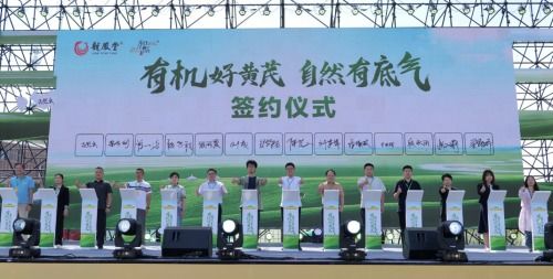 供需兩端 雙向奔赴 ,揚(yáng)子江藥業(yè)集團(tuán)推動產(chǎn)業(yè)鏈創(chuàng)新融合發(fā)展